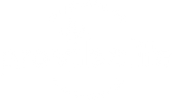 Pro Vibe Life logo