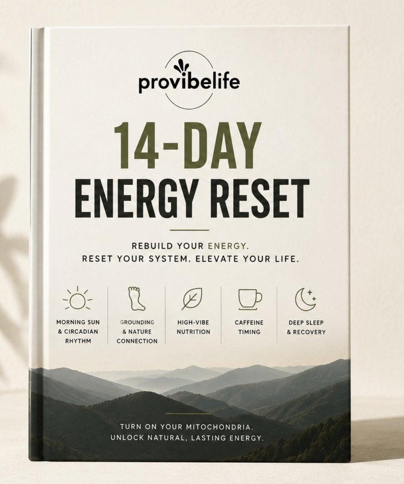 14-day energy reset guide