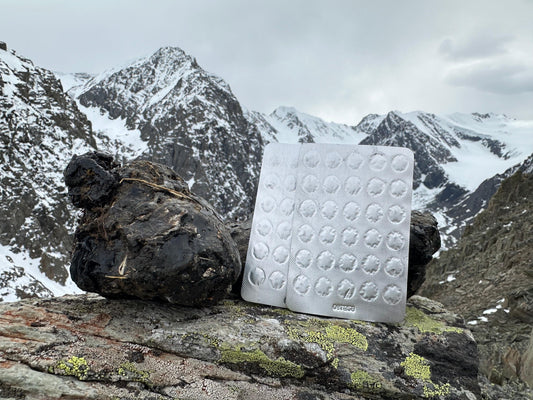 The Altai mountain range in Central Asia, the source of Pro Vibe Life shilajit