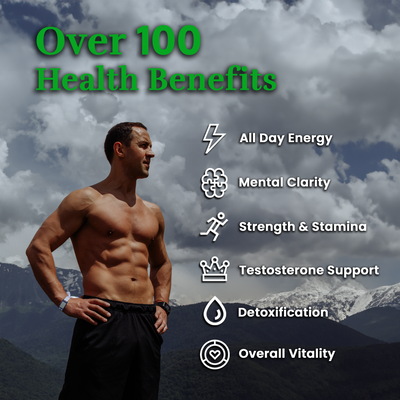 Shilajit Resin Tablets