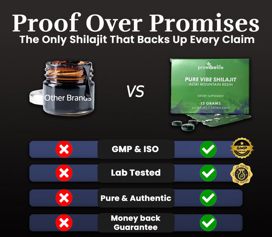 Shilajit Resin Tablets