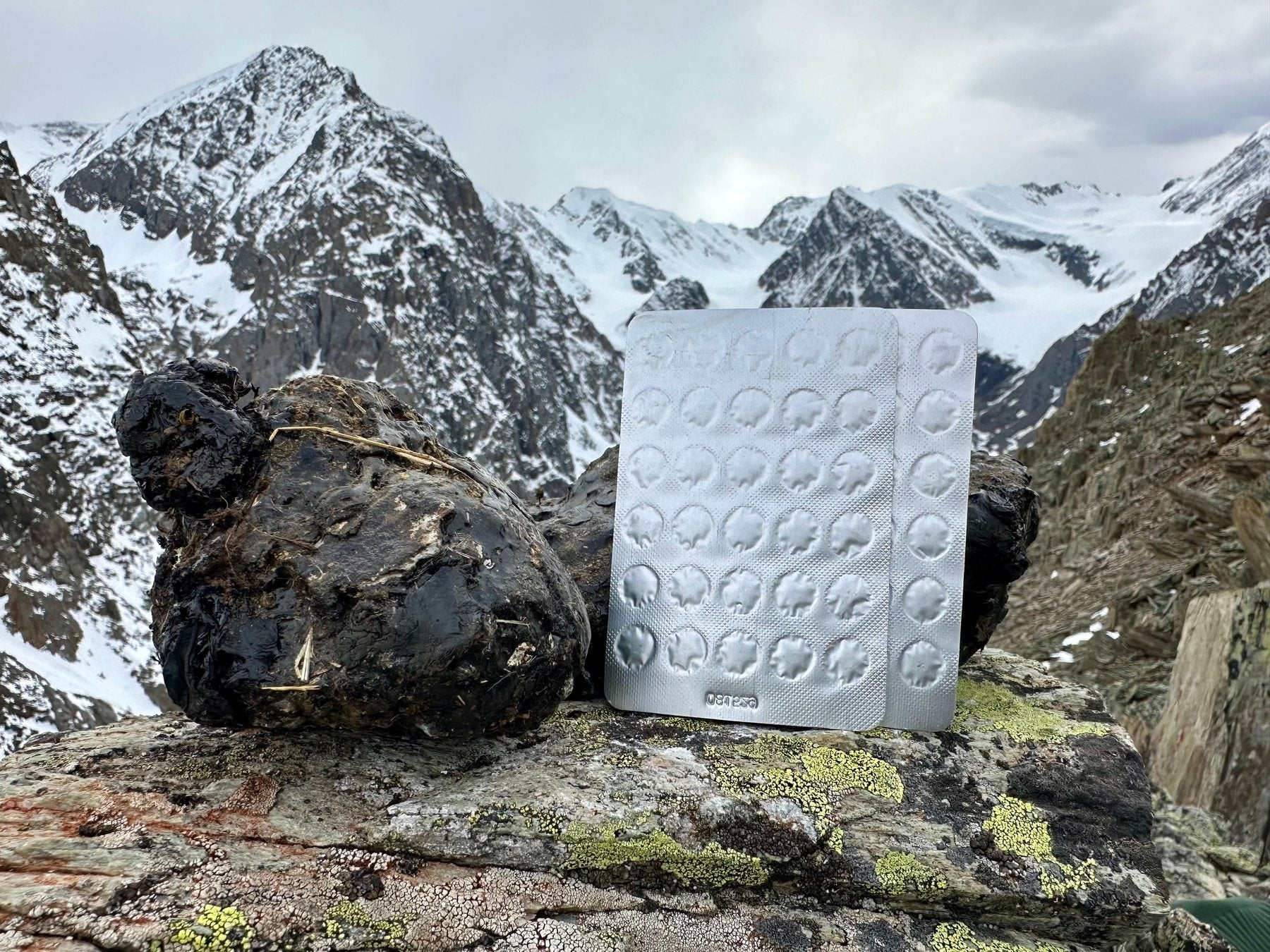 Altai mountains