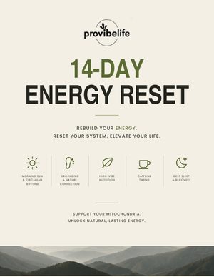 The 14-Day Energy Reset guide cover